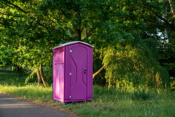 Best Porta potty delivery and setup  in Lovelock, NV